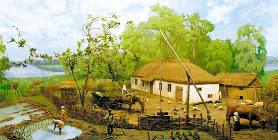 Начиная с 1909 года, предпринимались первые <br>попытки выращивания риса в плавнях Нижней Кубани