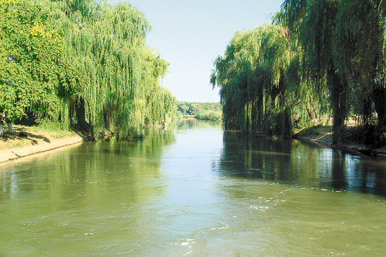 severskiy003.jpg
