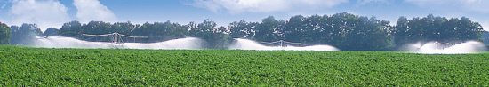 krasnodar004.jpg